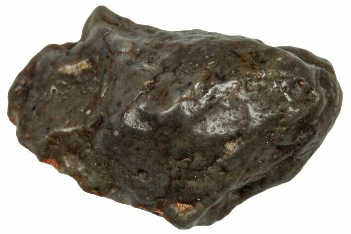 Lunar Meteorite ( g) Section - Touat #303591